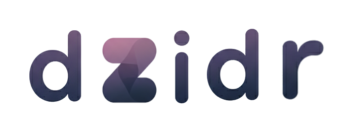 dzidr logo
